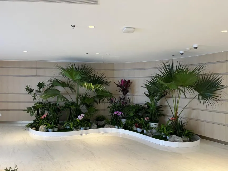 探寻宁波余姚绿植出租设计，装点别样生活