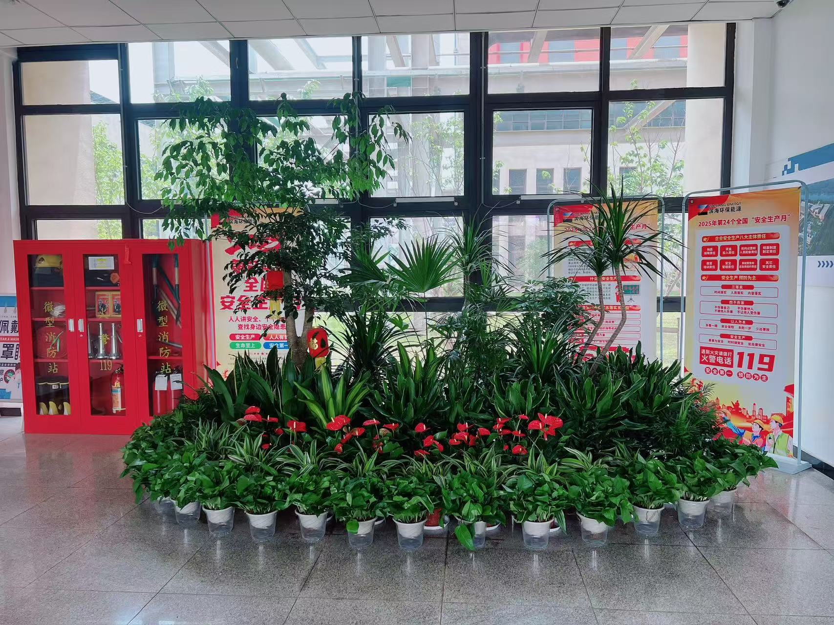 宁波奉化绿植出租挑选指南，哪家是你的心仪之选？